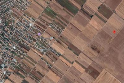 Teren Extravilan In Rate Primaverii Com. Berceni | 4997mp | #EG48 - 2