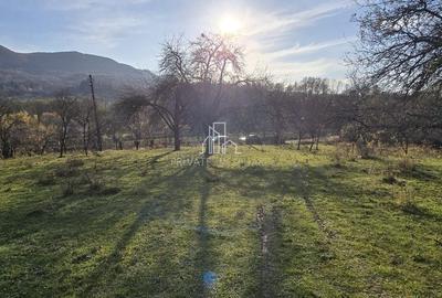 Teren Intravilan 1,2 Hectare de Vanzare, Sat Tisieu, Com. Ibanesti - 3