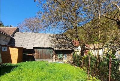 Teren intravilan cu toate utilitatile in sat de munte - 4