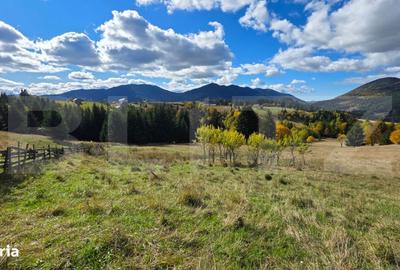 Teren de 15000 mp, în Șieu - 5