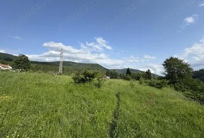 Teren de 5047 mp, în Cumpătu - 1