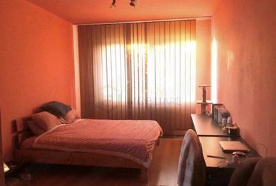 BUZIASULUI - 2 Camere - Clima - Acoperis din tigla - 4