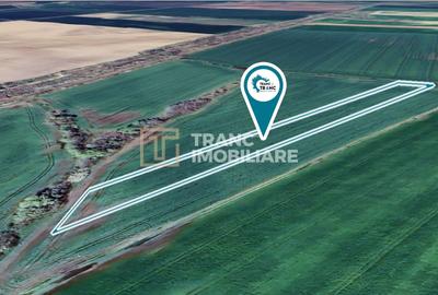 Teren agricol extravilan de 11400 mp, în Zimandu Nou - 3