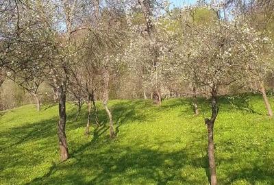 Casă cu 2 camere în Gării - 5