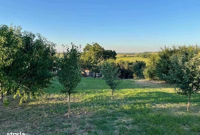 Casă cu 3 camere cu Teren 1439 Mp în Cadea - 10
