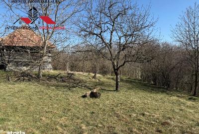 Casă cu 4 camere cu Teren 7701 Mp în Vințu de Jos - 1