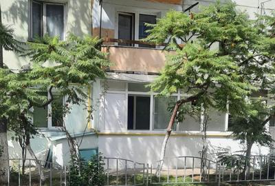 Apartament 2 camere, parter, Ostroveni - 7