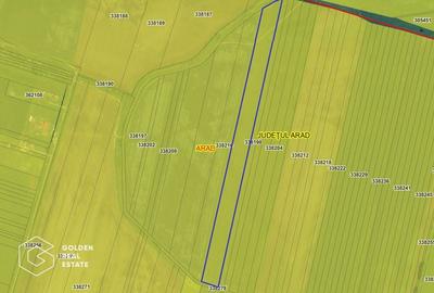 Teren agricol, 2.89 hectare, Exterior Nord (inspre Sofronea) - 1