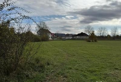 Teren de 3432 mp, în Mogoșești - 3