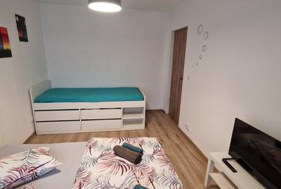 Apartament 1 camera regim hotelier Provista - Narcisei - 2