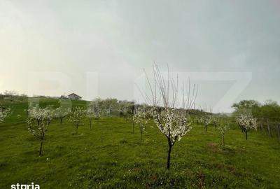 Teren de 4447 mp, în Pielești - 1