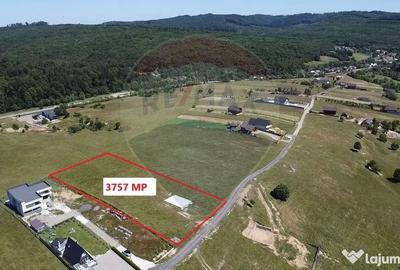 Teren de 3322 mp, în Paltin - 5