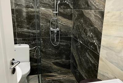 Apartament cu 2 camere decomandat în Jiului - 3
