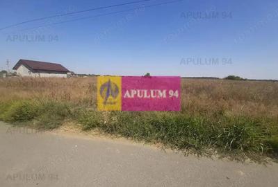 Teren de 1300 mp, în 1 Decembrie - 10