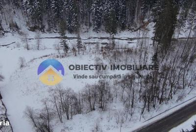 Teren de 2283 mp, în Tarcău - 17