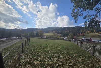 Teren de 2000 mp, în Stulpicani - 3