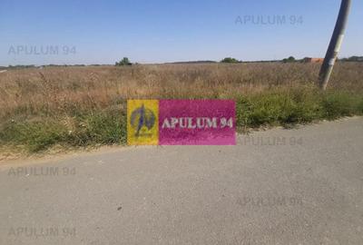 Teren Construcții intravilan de 1300 mp, în 1 Decembrie - 2
