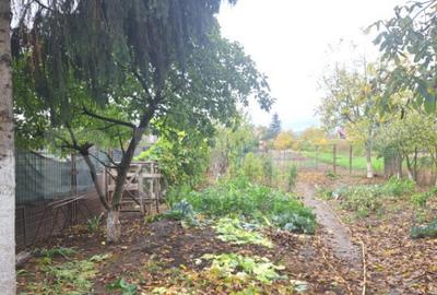 2 case lipite, ideale pentru 2 familii Harman, la doar - 11