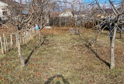 Vand casa batraneasca + teren intravilan - 6