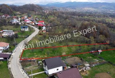 Teren de vanzare in comuna Valea Iasului, sat Cerbureni, jude? Arge?. - 7