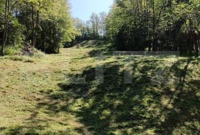 Teren extravilan de 1824 mp, în Răzvad