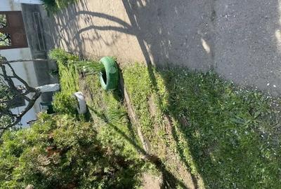 Casă cu 2 camere cu Teren 5500 Mp în Pogana - 9