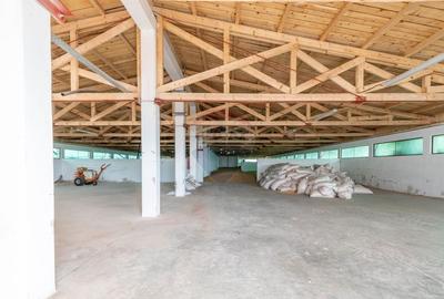 Spațiu industrial, de 2,116.5 mp, în Curtuiușu Dejului - 6