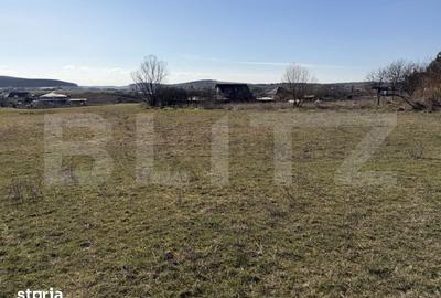 Teren de 5800 mp, în Hereclean - 8