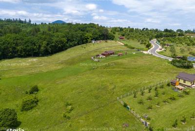 Spațiu comercial, în Vulcan - 15