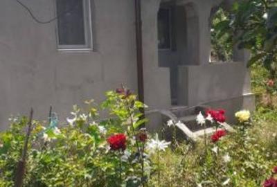 Casa cu teren 1100 COLCEAG PH,lângă A 7 Casa cu teren 1100 COLCEAG PH,lângă A 7 - 4