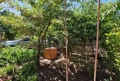 Apartament cu 4 camere, mobilat în Rahova - 16