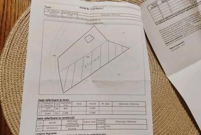 Teren Intravilan 2900 mp Ianculești (la 5 min de Carei) - 2