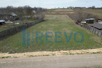 Teren de vanzare, Sat Bazga, Com. Horge?ti, Bacau - 7