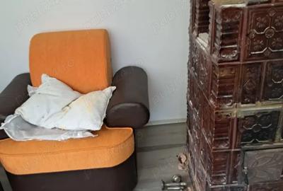 Casă cu Teren 3780 Mp în Hulubești - 19