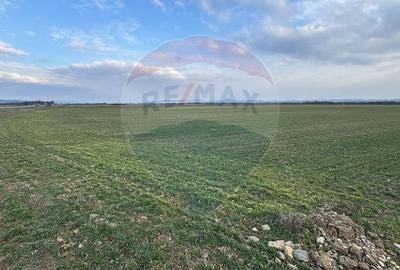 Teren intravilan de vanzare 3.675 mp - Sabolciu,  direct la DN1/E60, - 6
