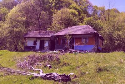 Spațiu comercial, în Opătești - 4