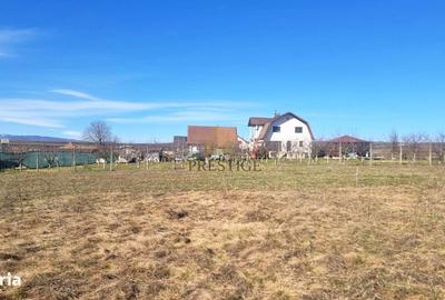 Spațiu comercial, în Cristian - 10