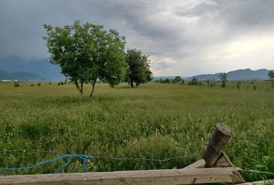 Teren Construcții intravilan de 10500 mp, în Exterior Nord - 5