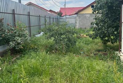 Casă cu 3 camere în Cernica - 5