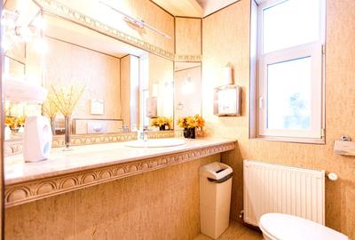 Casă individuală cu 6 camere cu Canalizare în Dumbrăvița - 11