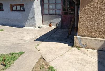 Vand Casa in ora?ul Corabia - 6