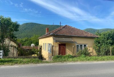 Casă cu 3 camere în Brănișca - 5