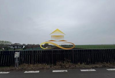 Teren de vanzare Filipesti Bacau 6838 mp - 11