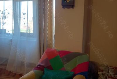 Casă cu 2 camere cu Teren 2000 Mp în Sânmartinu Sârbesc - 5