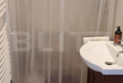 Locuința individuala cu curte generoasa- In Chitila - 16