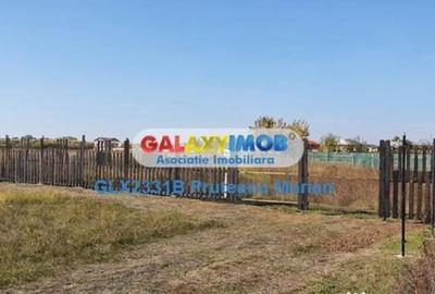 Teren de 1500 mp, în Clinceni - 3