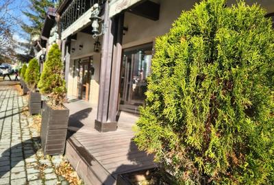 Proprietate mixta -spatiu comercial +rezidenta - 4