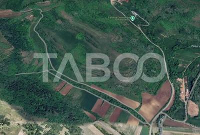 Teren de 10000 mp, în Gușterița