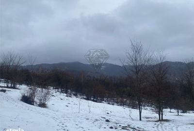Teren de 5229 mp, în Șotrile - 3