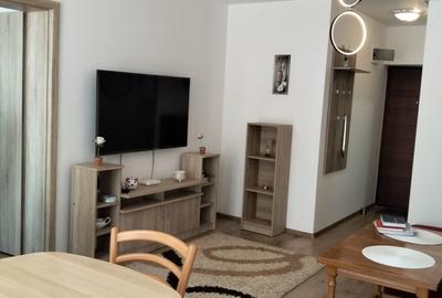 Apartament cu 2 camere semidecomandat, mobilat în Aeroport - 3